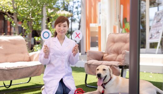 動物病院を転院するときのポイント｜セカンドオピニオンとの違いや必要な準備とは