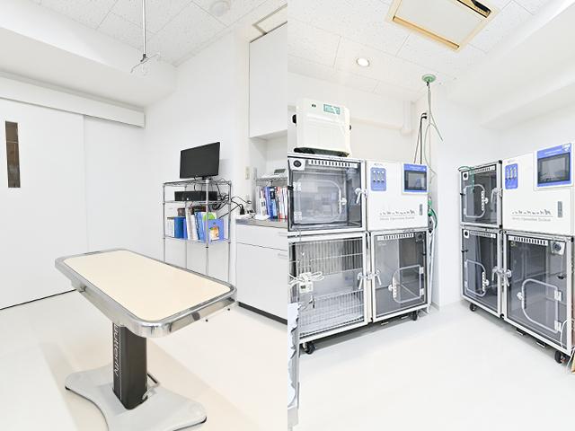 夜間救急動物病院 さいたま大宮