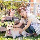 しつけ教室のプライベートレッスン｜愛犬を通わせるメリットや注意点を解説