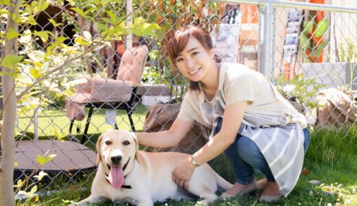 しつけ教室のプライベートレッスン｜愛犬を通わせるメリットや注意点を解説