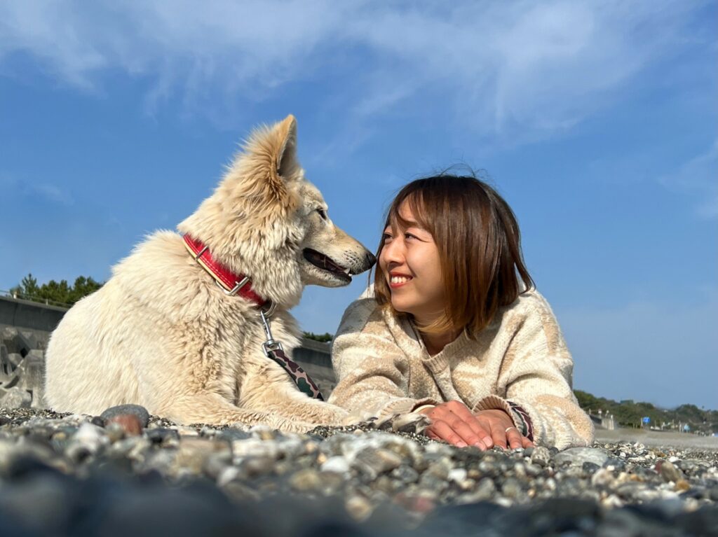動物病院受診後のケアと観察ポイント