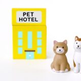 ペットホテルのフリースペースとは？利用時のメリットや注意点などを解説