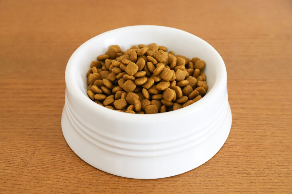 ペットホテルに預ける際のご飯について