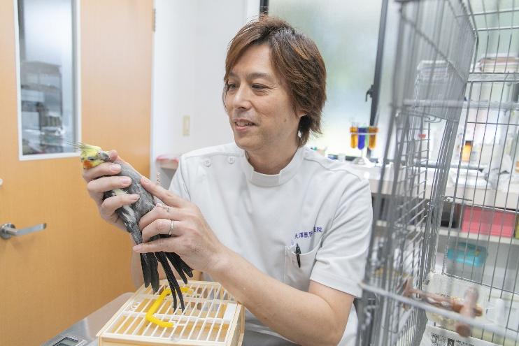 大澤獣医科医院