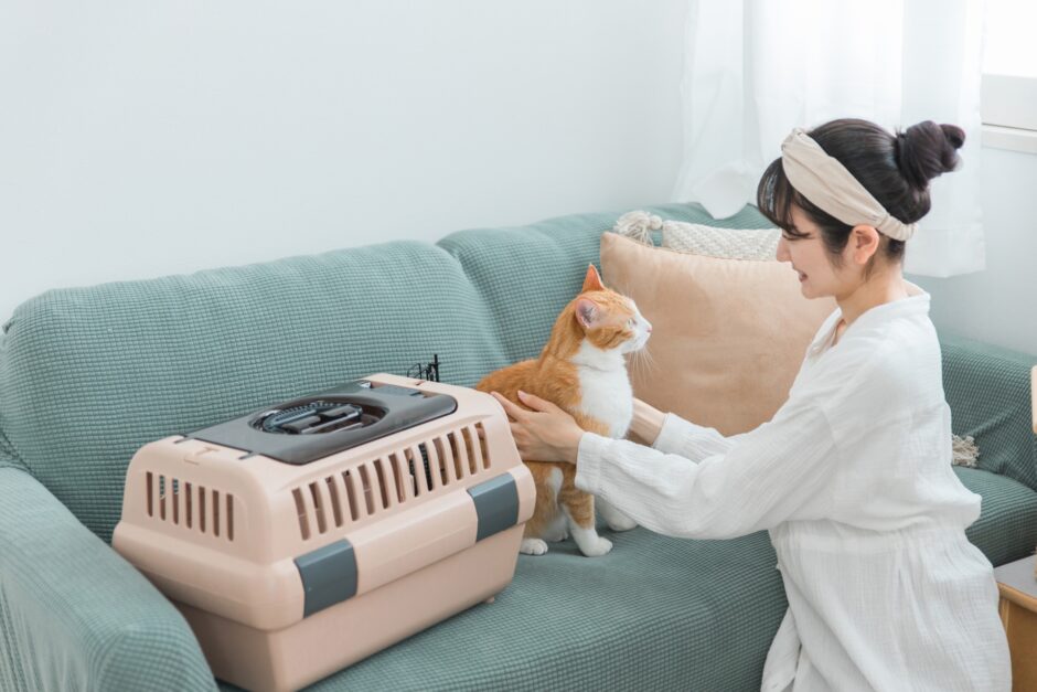 ペットホテルの選び方｜基礎知識や預ける前の準備などをわかりやすく解説