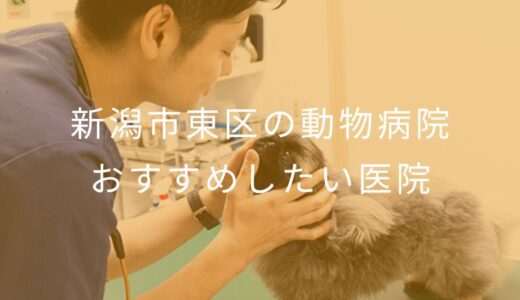 【2025年】新潟市東区の動物病院 おすすめしたい5医院