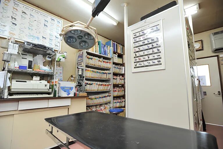 ハシモト動物病院photo