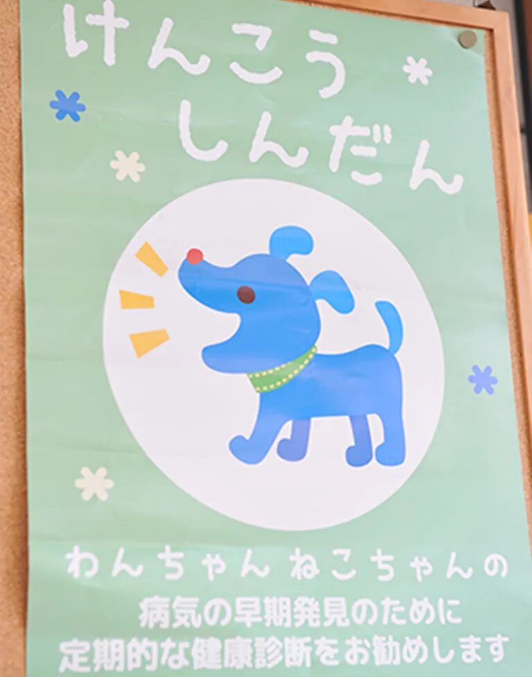 ハシモト動物病院photo