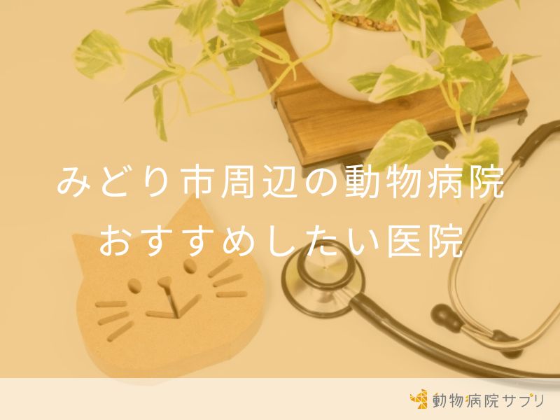 みどり市周辺の動物病院 おすすめしたい医院