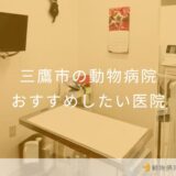 【2025年】三鷹市の動物病院 おすすめしたい7医院