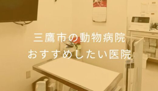 【2025年】三鷹市の動物病院 おすすめしたい7医院