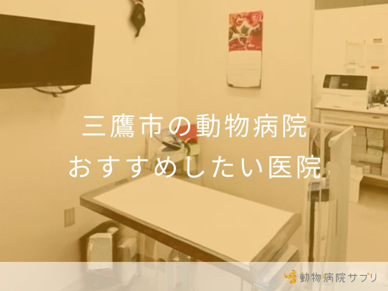 三鷹市の動物病院 おすすめしたい医院