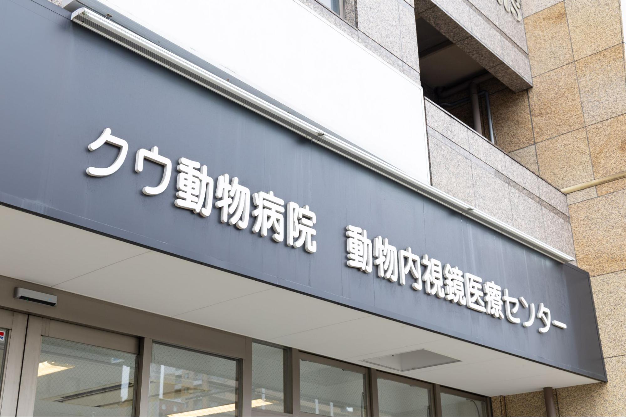 クウ動物内視鏡医療センターphoto