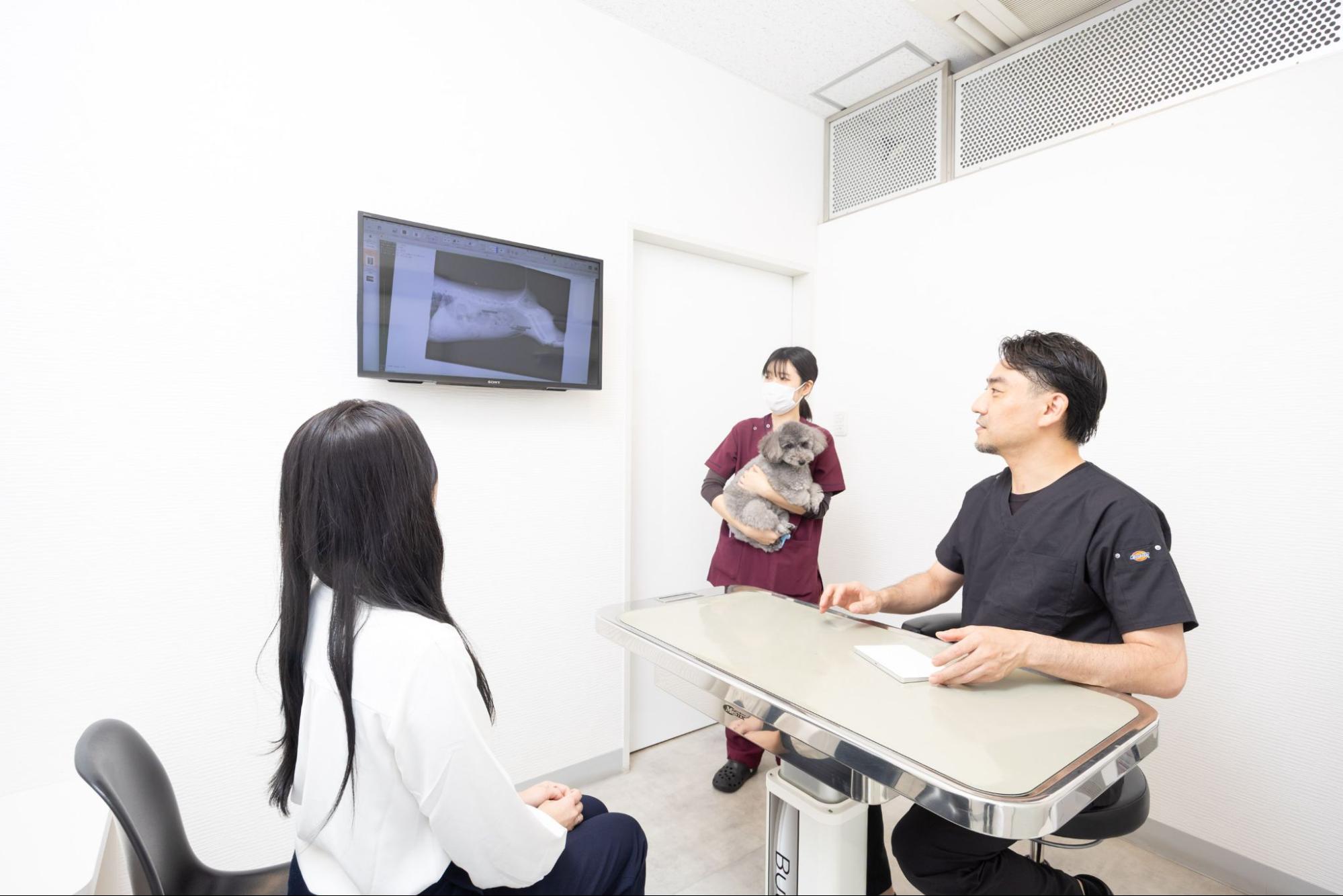 クウ動物内視鏡医療センターphoto