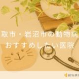 【2025年】名取市・岩沼市の動物病院 おすすめしたい5医院