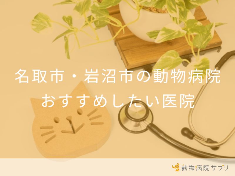 名取市・岩沼市の動物病院 おすすめしたい医院