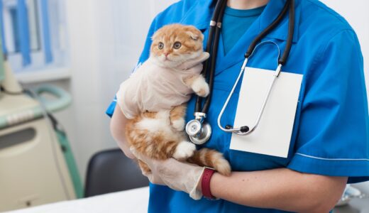 動物病院にある検査機器の種類｜検査費用や準備内容、アフターフォローについても解説