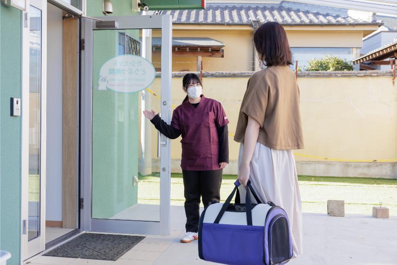 カシェットどうぶつ病院