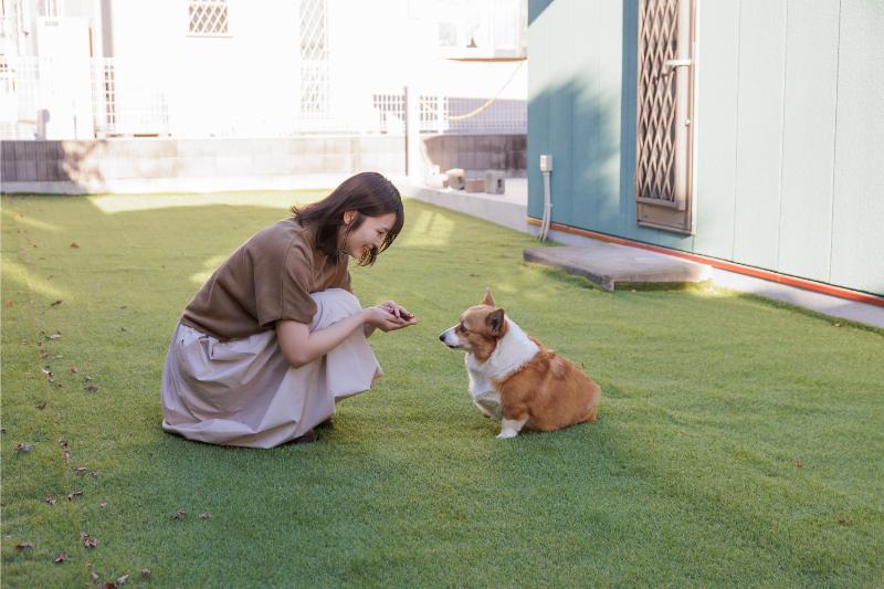 カシェットどうぶつ病院