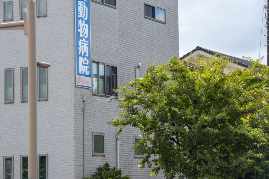 動物病院の建物