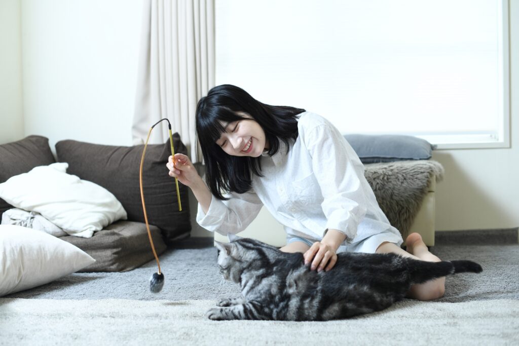 屋内で猫と遊ぶアジア人の女性