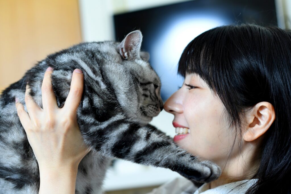 猫と触れ合う若い女性