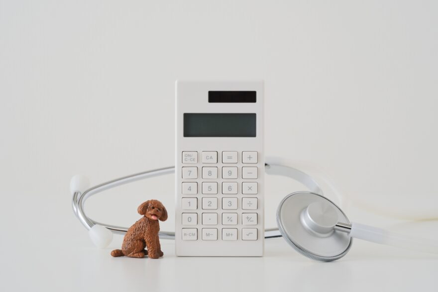 ペットの医療費イメージ