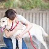 夜間無人とスタッフ常駐のペットホテルの違いは？選び方や注意点を解説