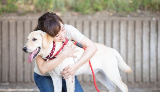 夜間無人とスタッフ常駐のペットホテルの違いは？選び方や注意点を解説