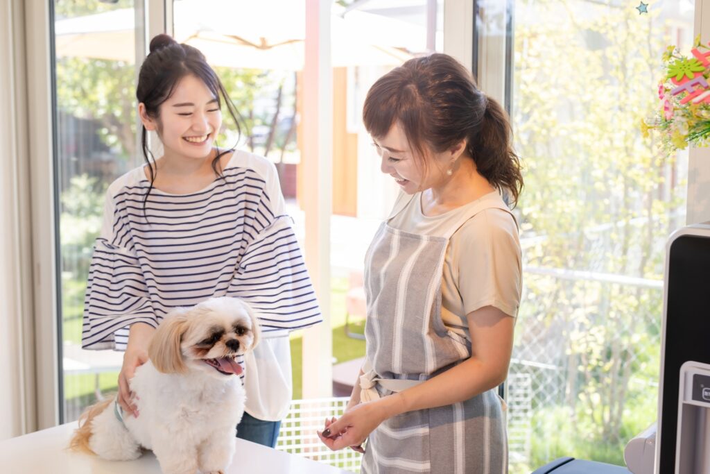 トリミングで犬がおとなしくできない原因