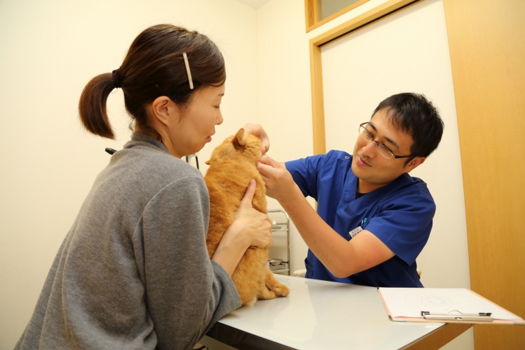 門司港どうぶつ病院photo