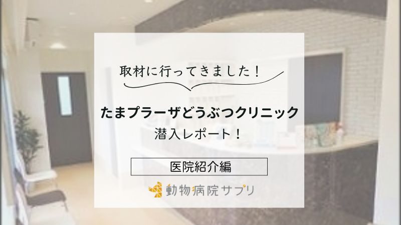 たまプラーザどうぶつクリニックphoto