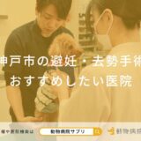 神戸市の避妊・去勢手術 おすすめしたい医院