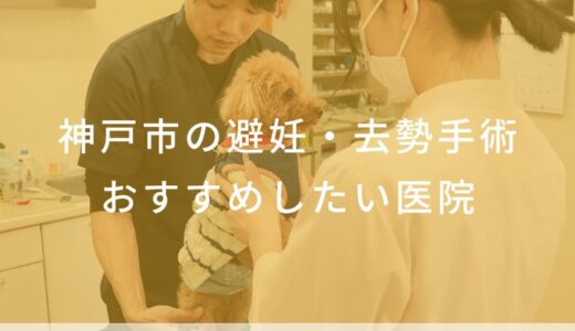 【2025年】神戸市の避妊・去勢手術 おすすめしたい7医院