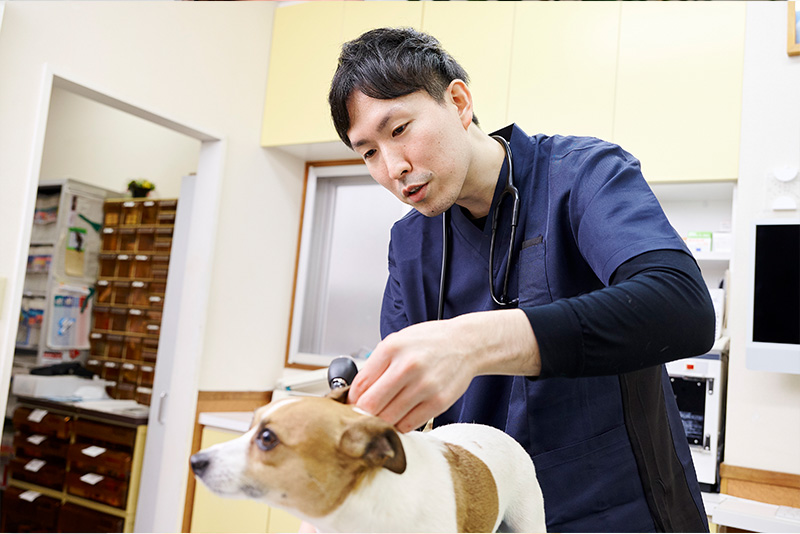 いくら犬猫クリニック