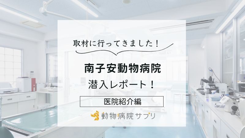 南子安動物病院photo