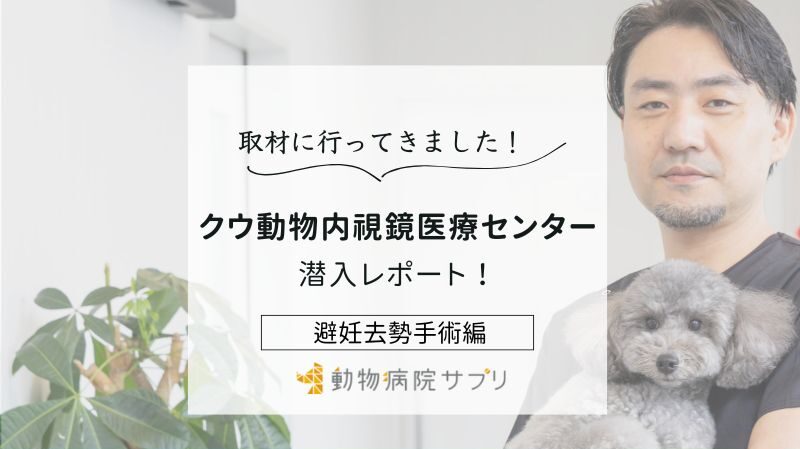 クウ動物内視鏡医療センターphoto