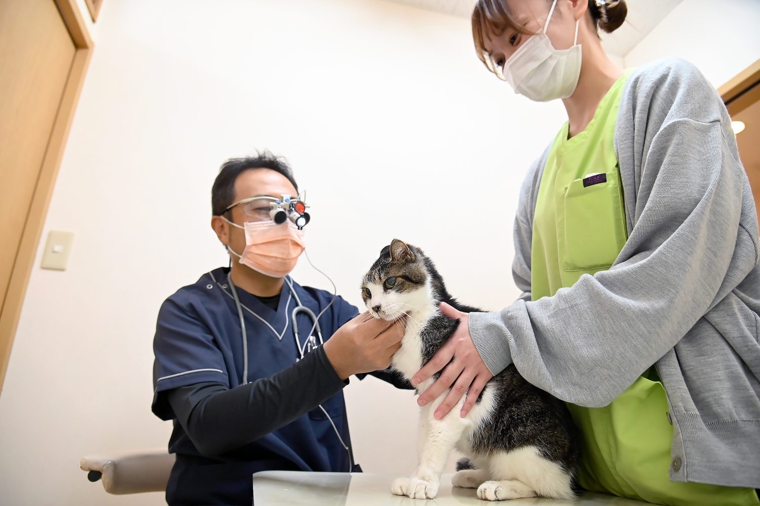 門司港どうぶつ病院photo