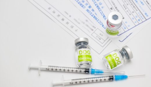 しつけ教室に通う際に狂犬病ワクチンは必要？通うために必要な条件や事前準備を解説