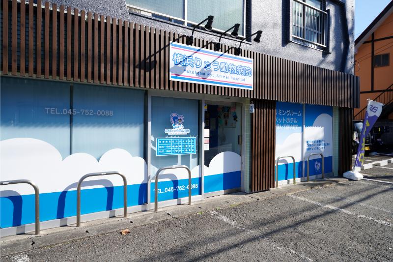 横浜りゅう動物病院