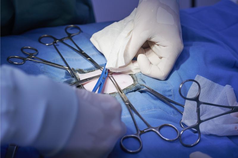 横浜りゅう動物病院