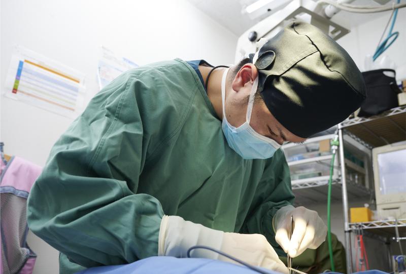 横浜りゅう動物病院