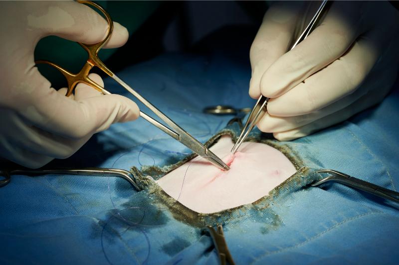 横浜りゅう動物病院