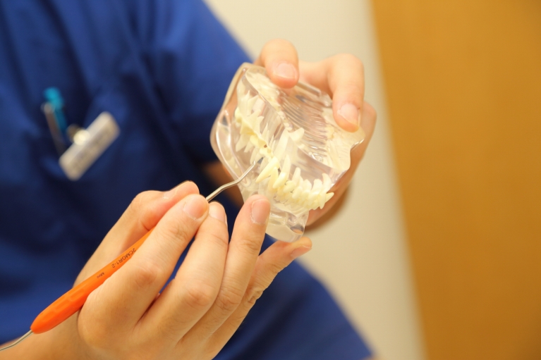 門司港どうぶつ病院photo