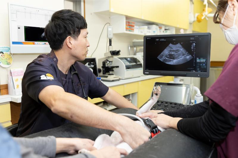 いくら犬猫クリニック