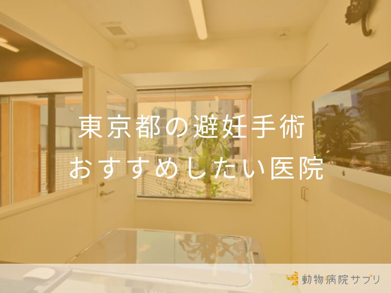 東京都の避妊手術おすすめしたい医院