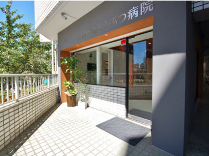 広尾の森どうぶつ病院