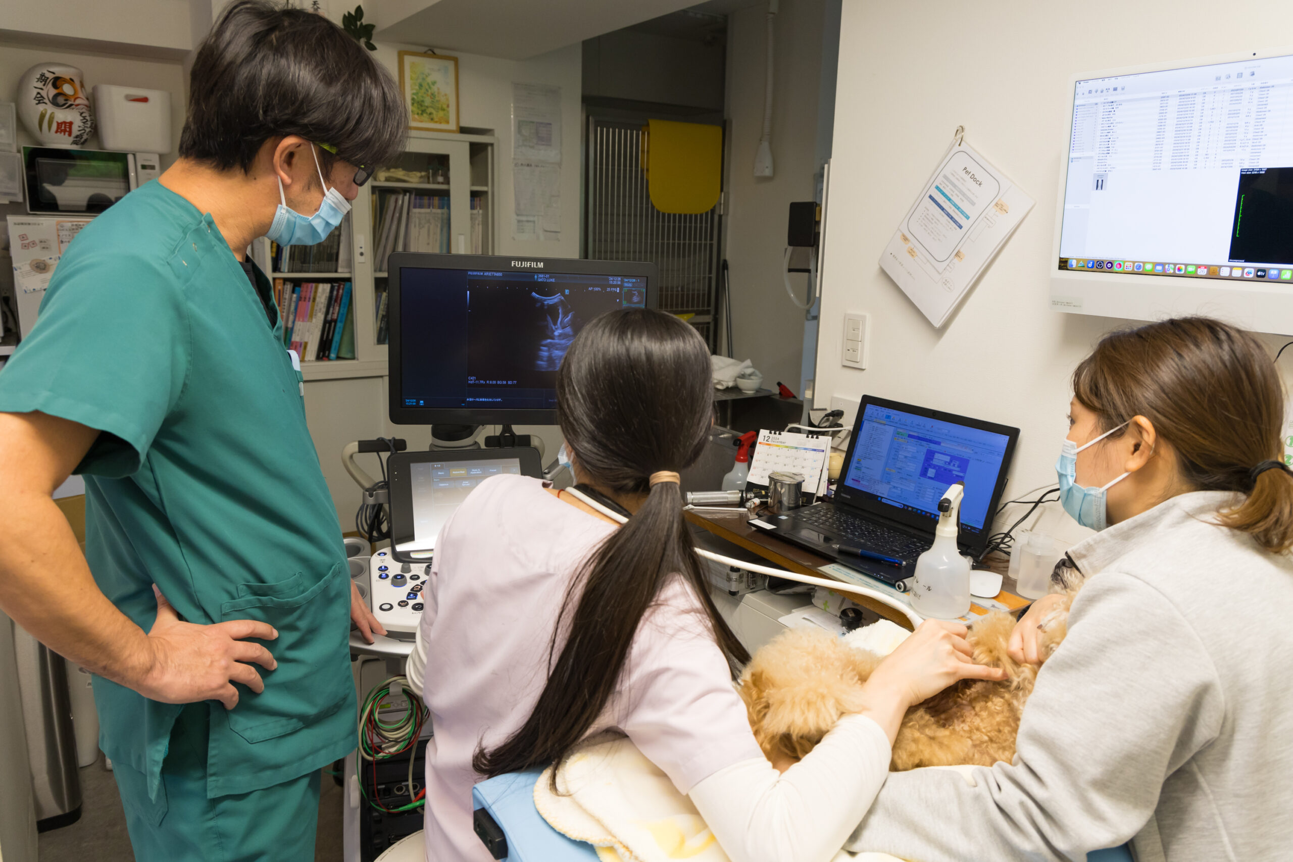広尾の森どうぶつ病院