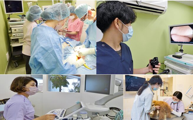 広尾の森どうぶつ病院