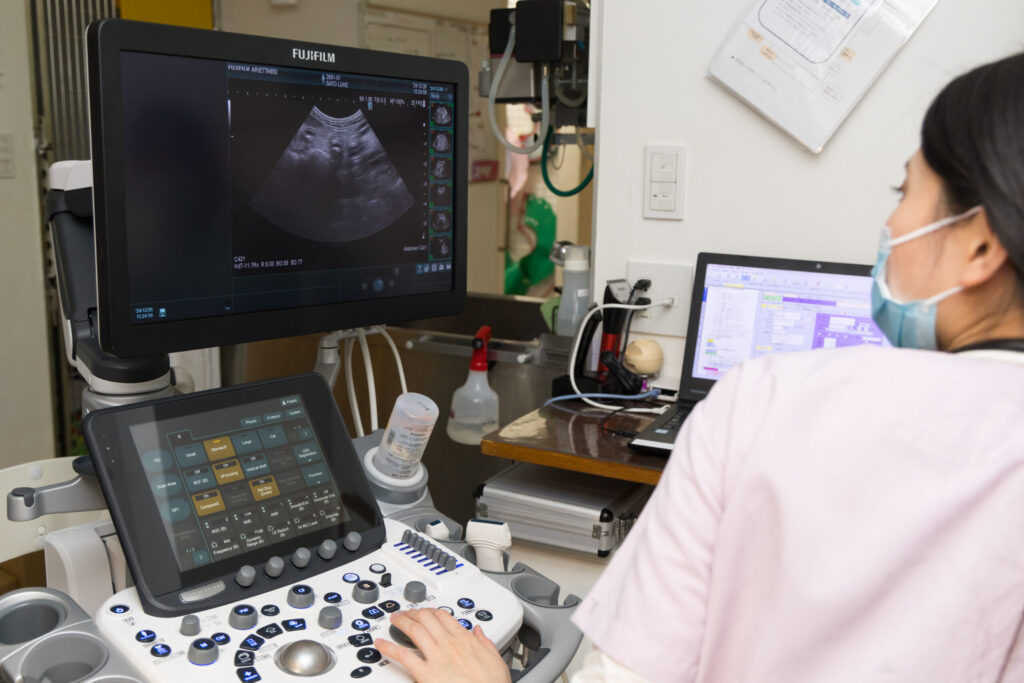 広尾の森どうぶつ病院